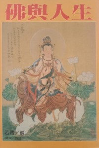 Image of MANDARIN B0006156