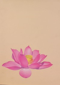 Image of MANDARIN B0008515