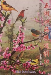 Image of Mandarin B0008565