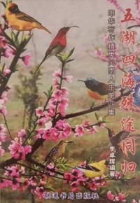 Image of Mandarin B0008570