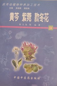 Image of MANDARIN B0008753