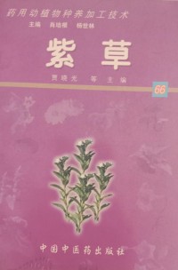 Image of MANDARIN B0008757