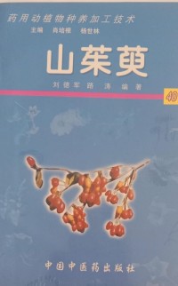 Image of MANDARIN B0008759