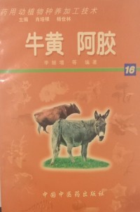 Image of MANDARIN B0008971