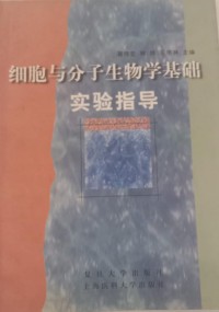 Image of MANDARIN B0009030