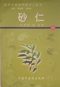 Image of MANDARIN B0009376