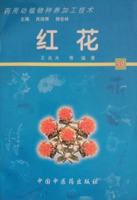 Image of MANDARIN B0009377