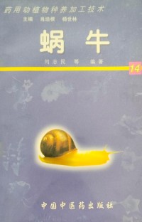 Image of MANDARIN B0009389