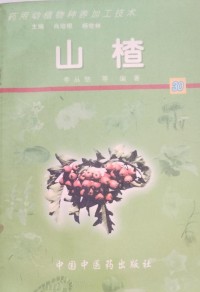 Image of MANDARIN B0009392