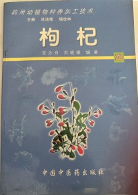 Image of MANDARIN B0009983