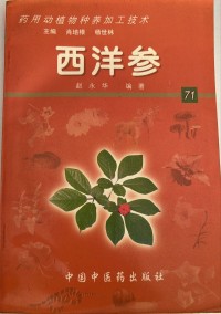 Image of MANDARIN B0009993