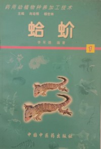 Image of MANDARIN B0010282