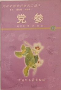 Image of MANDARIN B0010283