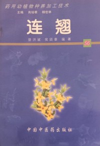 Image of MANDARIN B0010284