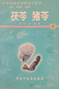 Image of MANDARIN B0010285