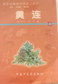 Image of MANDARIN B0010287