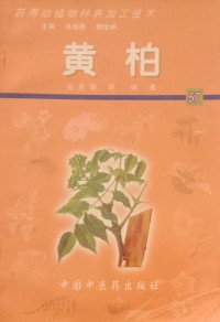 Image of MANDARIN B0010290