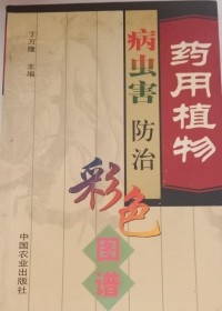 Image of MANDARIN B0010431