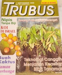 Image of TRUBUS : BAWANG PUTIH DATARAN MENENGAH
