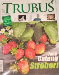 Image of TRUBUS : JANJI UNTUNG STROBERI