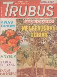 Image of TRUBUS : MODEL KOLAM KOI